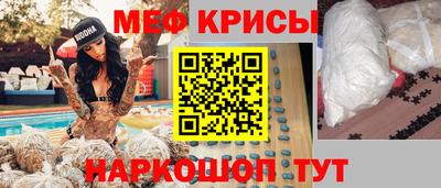 крисы Камышлов