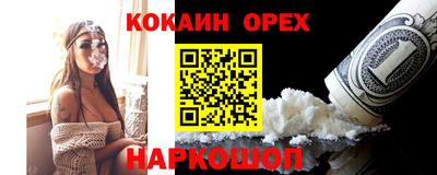 шишки Кандалакша