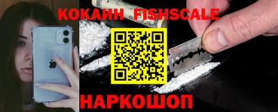крисы Камышлов