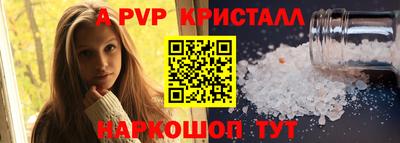 крисы Камышлов