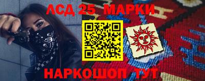 шишки Кандалакша
