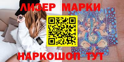 шишки Кандалакша