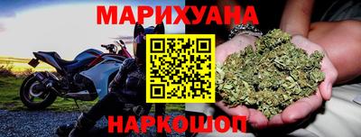 шишки Кандалакша