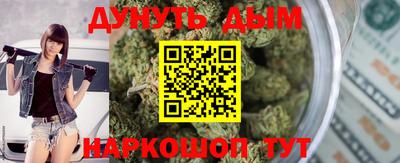 крисы Камышлов