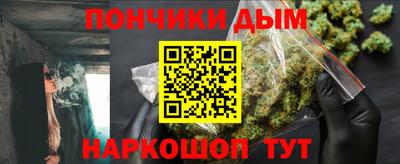 шишки Кандалакша