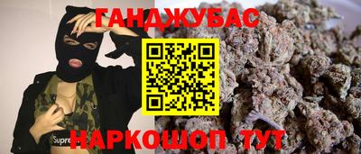 крисы Камышлов