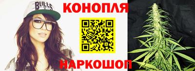 крисы Камышлов