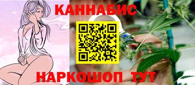 шишки Кандалакша