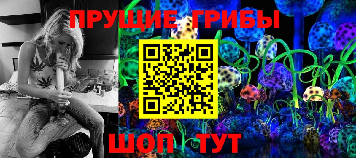 Курчалой  Псилоцибиновые грибы Psilocybe  Псилоцибиновые грибы Psilocybine cubensis  Вход с VPN 