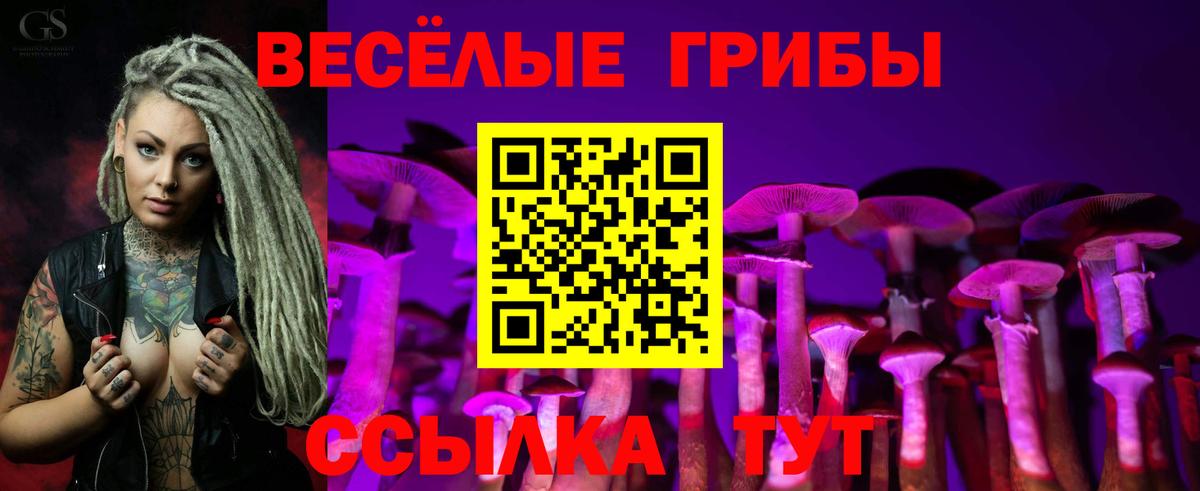 Галлюциногенные грибы ЛСД Курчалой